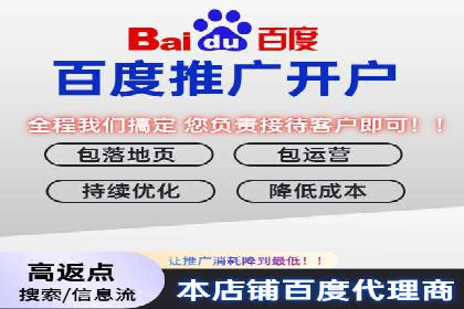 百度SEO推广成功案例:品牌知名度提升
